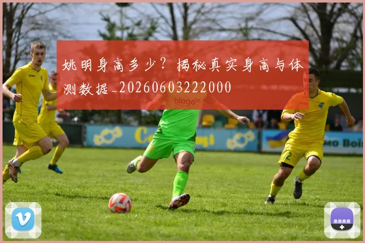 姚明身高多少？揭秘真实身高与体测数据_20260603222000