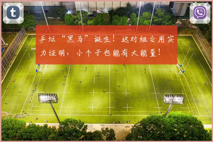 乒坛“黑马”诞生!这对组合用实力证明,小个子也能有大能量!