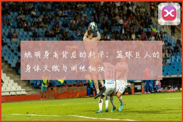 姚明身高背后的科学：篮球巨人的身体天赋与训练秘诀