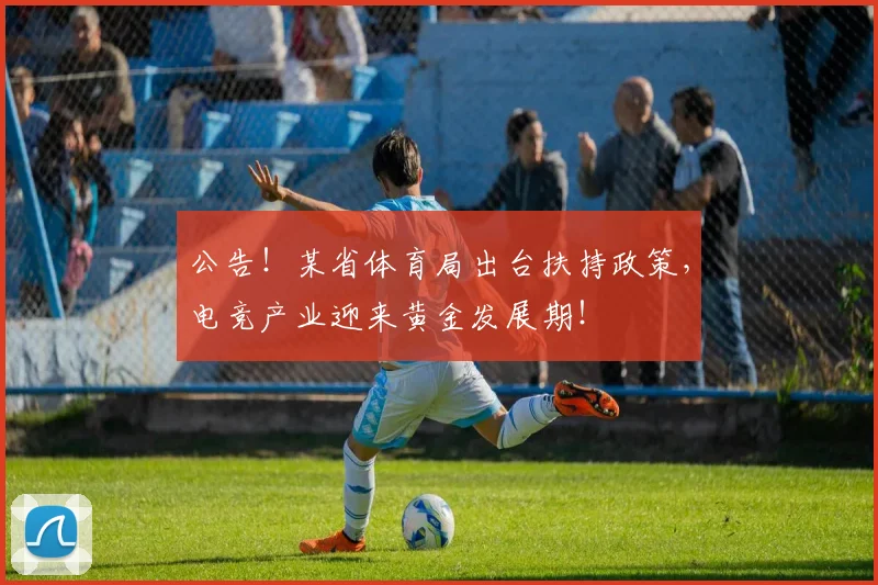 公告！某省体育局出台扶持政策，电竞产业迎来黄金发展期！