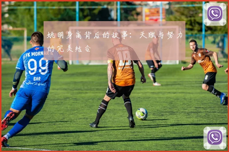 姚明身高背后的故事：天赋与努力的完美结合